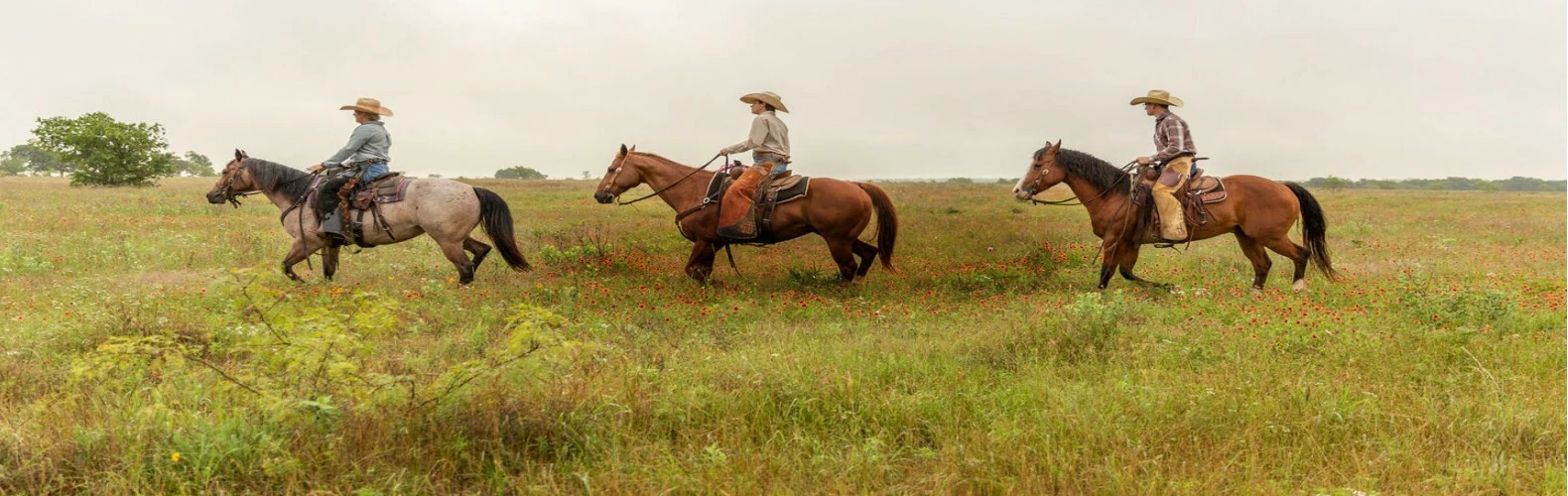 Justin Shop 1 Justin Shop -Justin Shop Justin15802